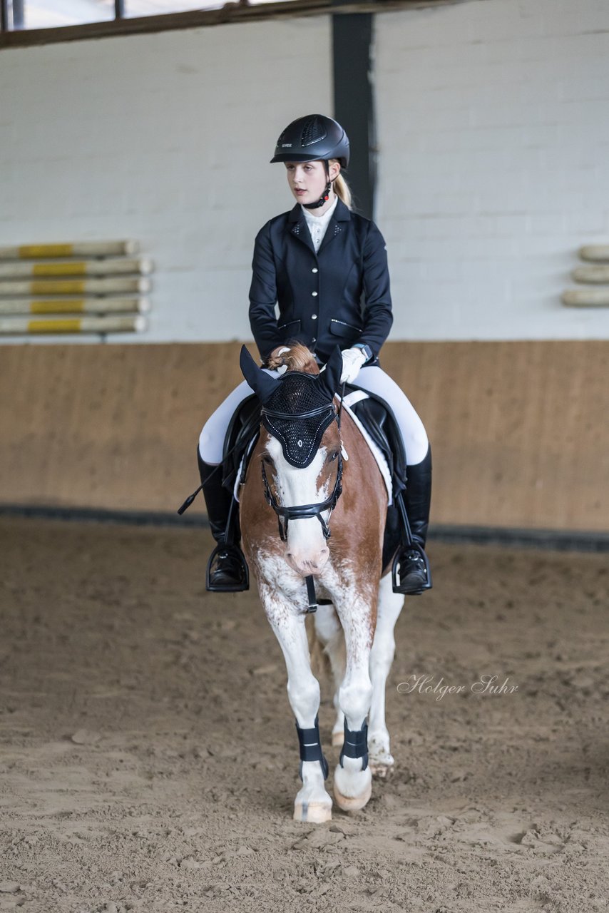 Bild 2 - Pony Akademie Turnier